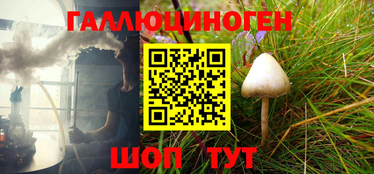 Камышлов  Псилоцибиновые грибы мухоморы  Галлюциногенные грибы Psilocybine cubensis  Вход с VPN 